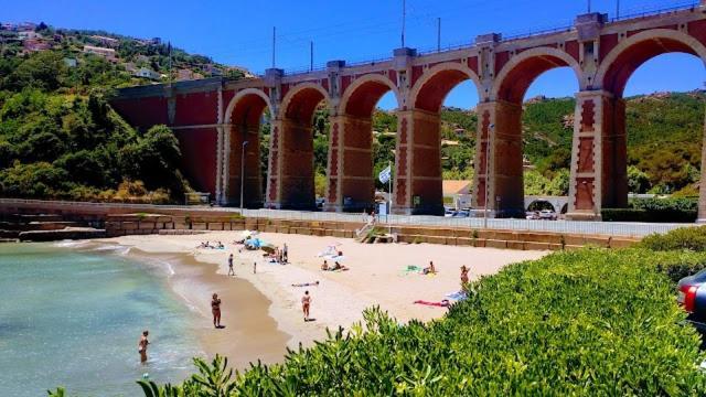 Tresor D Antheor- Bord De * Saint-Raphael (Var)